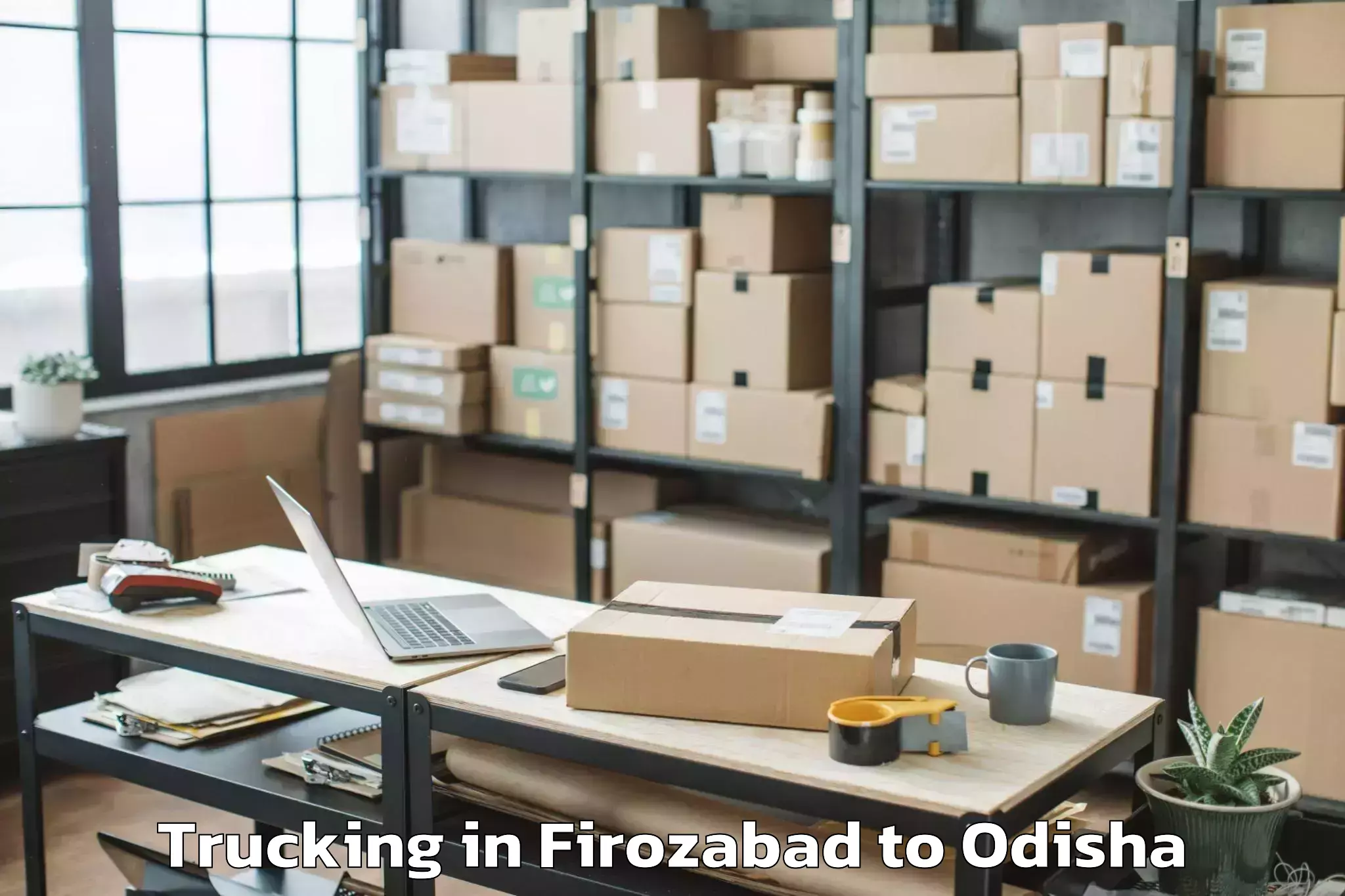 Book Firozabad to Odagaon Trucking Online